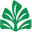 Matea Matcha: Odkryj prawdziwą japońską herbatę premium logo